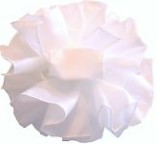 Pom0176.jpg (4402 bytes)